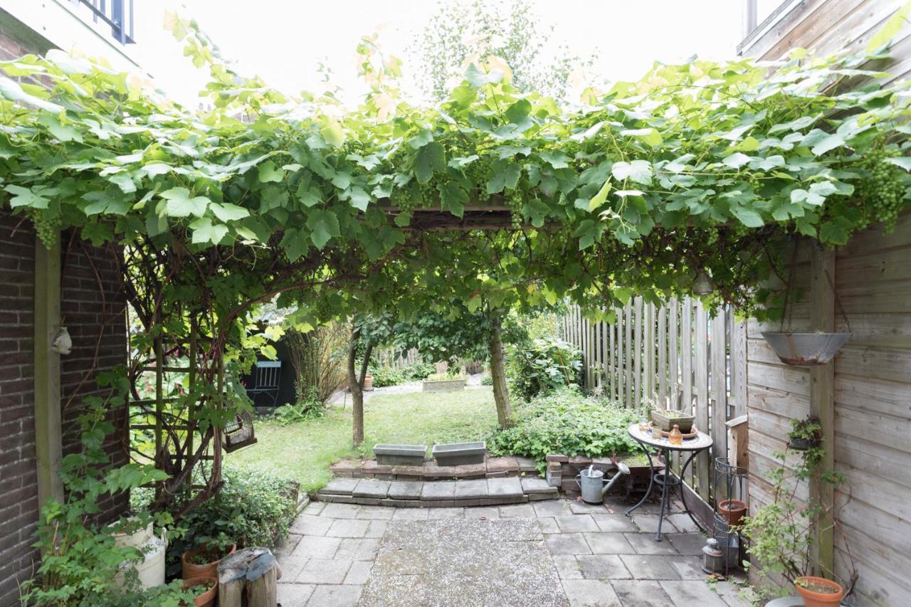 Mo'S Place Daire Vlissingen Dış mekan fotoğraf