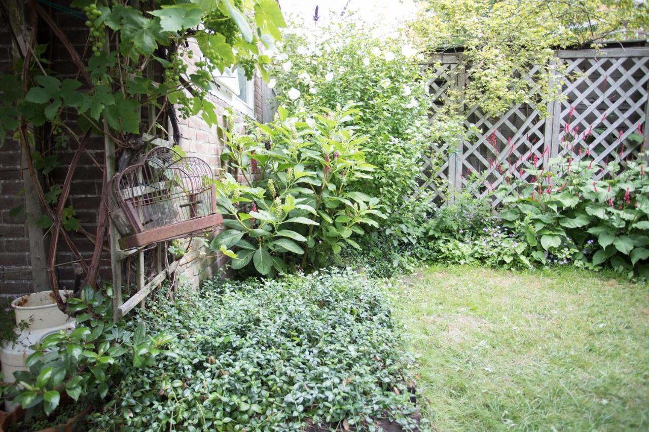 Mo'S Place Daire Vlissingen Dış mekan fotoğraf